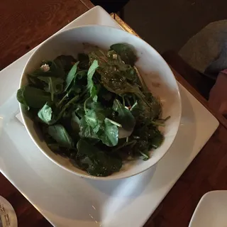 Kale Harvest