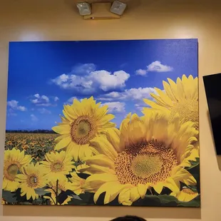 sunflowers against a blue sky
