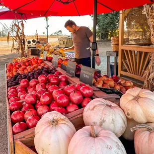 Autumn fruit forward.