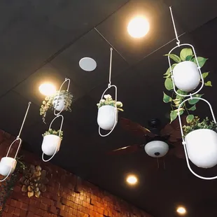 Hanging plants inside the restaurant