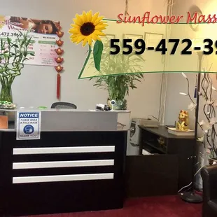 Welcome To Sunflower Massage