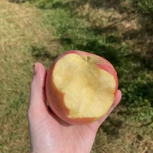 Admittingly,  I did take a "sample" and started eating it. :) (I got it was "ok" this time :))