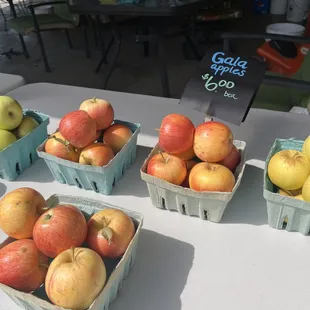 several baskets of apples on a table