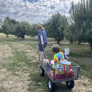 a woman and a child in a wagon