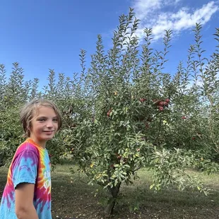 a young girl standing in front of a tree full of apples