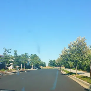 Sungold Park is located at the end of this street, on the right side.