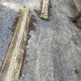 I don't know why I like this shot