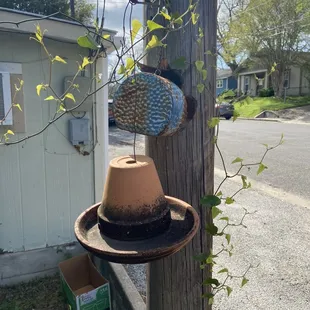 Just a cool shot next to the front parking area