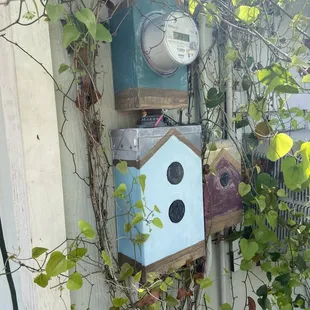 The electrical boxes. That's not a birdhouse. So awesomely weird.
