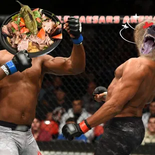 Our food knocking out the hanger bear