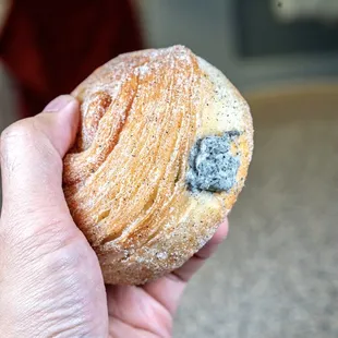 Black Sesame Donut.