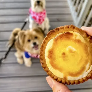 IG @FoodandPooch
