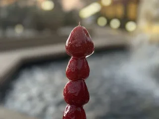 TangsHolic