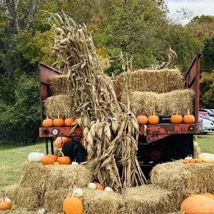 Sunny Acres Farm