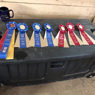 A successful show for the riders at Sunny Acres!