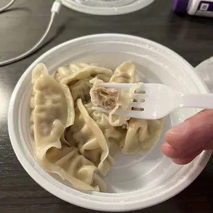 Steamed dumplings. Not East Coast filling but still tasty, just the right amount of ginger. Reminded me of gyoza.