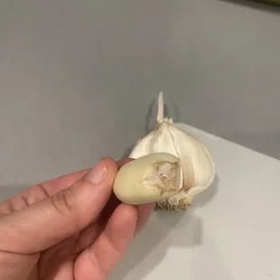 a hand holding a bulb of garlic