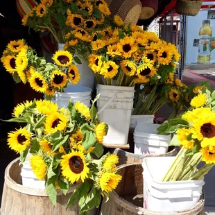 Sunflowers!