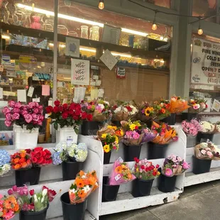 Flowers out front