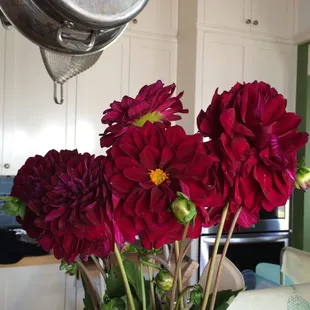 The bouquet of flowers I purchased on 8/31/15.