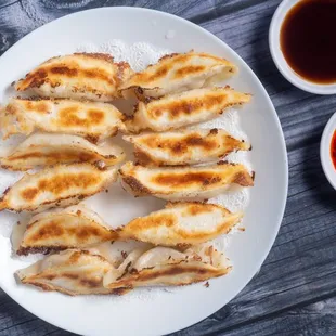 Pan Fried Pork Dumplings