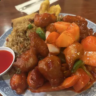Sweet and sour chicken combo E