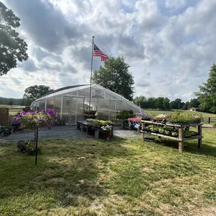 Greenhouse from a distance &amp; 'pot your own' section- pic does not do it justice.