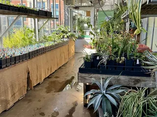 UNC Charlotte Botanical Gardens