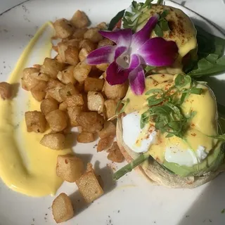 Florentine Benedict