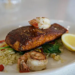Blackened Salmon | Lemon Shrimp, Sautéed Spinach, Garlic Butter Rice, Roasted Bell Peppers