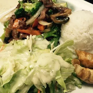 Lunch Special comes with salad with sunny house dressing and Gyoza.