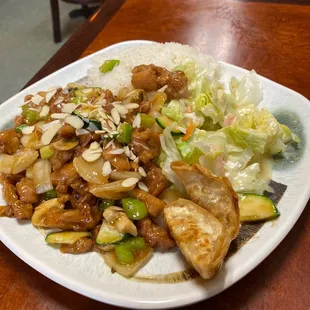 Almond Chicken, salad &amp; gyoza