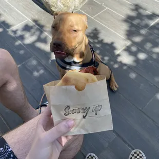 a dog sitting on the ground and a person holding a bag of food