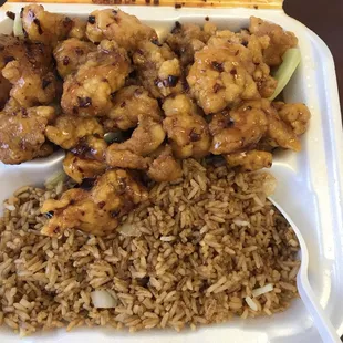 General Tso 's Chicken
