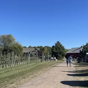 Driveway to the orchsrd