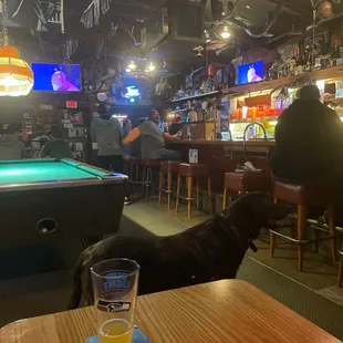 Dog, pool table , cold beers , bingo Wednesday