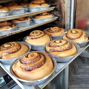 a baker holding a tray of freshly baked buns