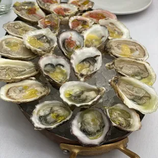 Oysters