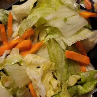 Bug in salad