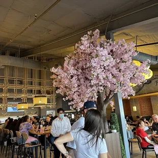 a cherry tree in a restaurant