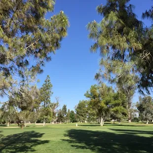 A beautiful day on the course.