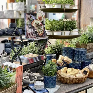 a variety of plants on display