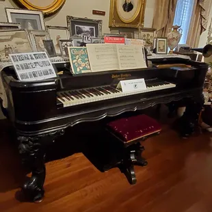 Museum exhibits and displays