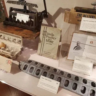 Museum exhibits and displays