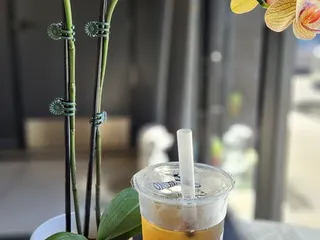 Wushiland Boba