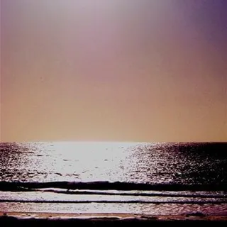 _Shaesta_ S.