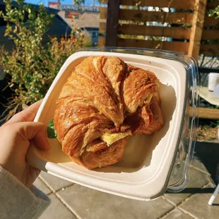 Multigrain Egg Sandwich