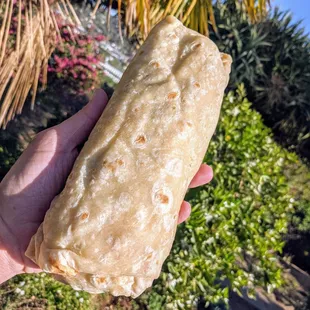 Breakfast Protein Burrito