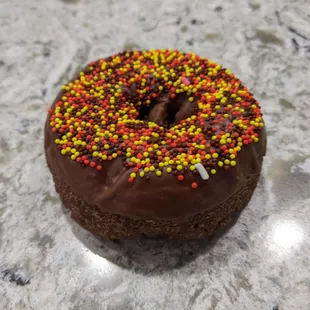 10/23/23 Chocolate Cake Donut with Chocolate Frosting and Sprinkles