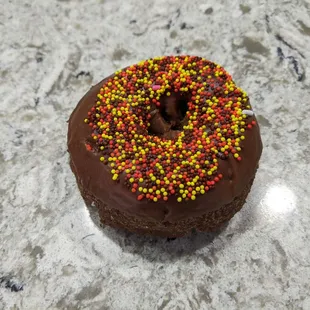 10/23/23 Chocolate Cake Donut with Chocolate Frosting and Sprinkles